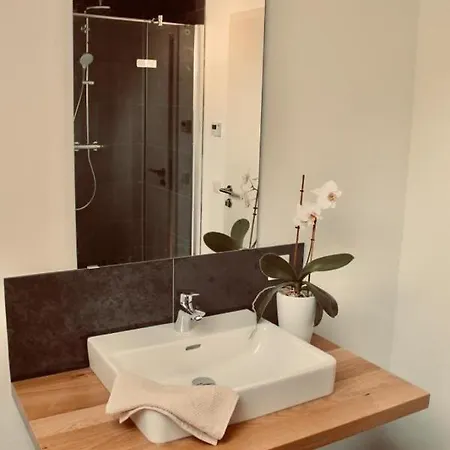 Frankenwald-chalets-haus-hans Tatil Evi *